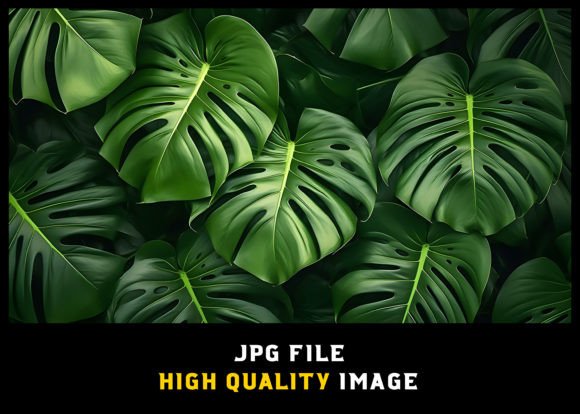 Beautiful Monstera Leaves Background Graphic AI Graphics By WODEXZ