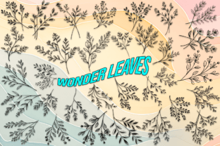 Wonder Leaves Dingbats Fonts Font Door MOMAT THIRTYONE 1