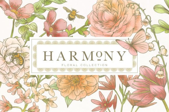 HARMONY BOTANICAL FLORAL Graphic Illustrations By avalonrosedesign