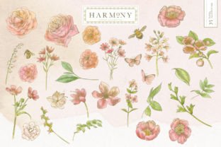 HARMONY BOTANICAL FLORAL Graphic Illustrations By avalonrosedesign 3