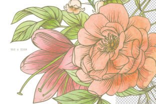HARMONY BOTANICAL FLORAL Graphic Illustrations By avalonrosedesign 6