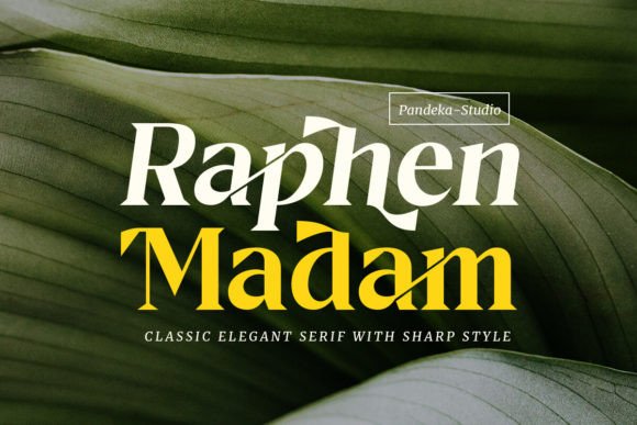 Raphen Madam Serif Font By pandekastudio
