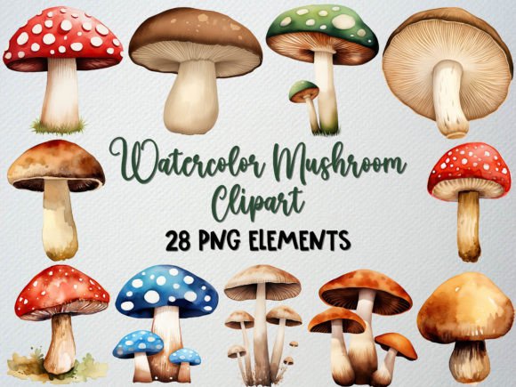 Watercolor Mushroom Clipart Set, 28 PNG Illustration Illustrations Imprimables Par beyouenked