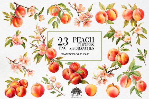 Watercolor Peaches Clipart Graphic Illustrations By HappyWatercolorShop
