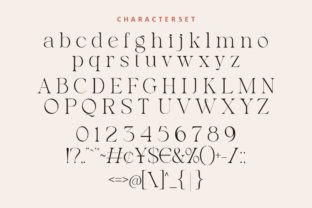 Notica Serif Font Serif Font Di HansCo 8