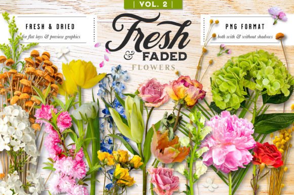 FRESH & FADED FLORAL FLAT LAY FLOWERS Graphic Objects By avalonrosedesign