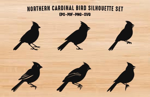 Cardinal Bird Black Silhouettes Clipart Graphic Illustrations By Gfx_Expert_Team