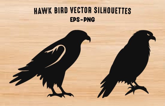 Hawk Bird Silhouettes Black PNG Clipart Graphic Illustrations By Gfx_Expert_Team