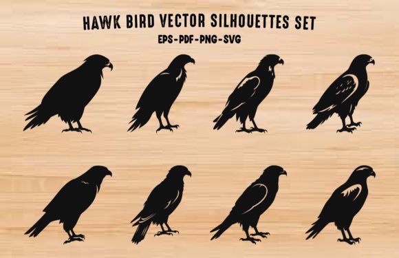Hawk Birds Vector Silhouette Clipart Set Graphic Illustrations By Gfx_Expert_Team
