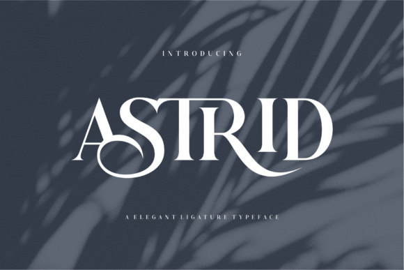 Astrid Serif-Schriftarten Schriftart Von dylla studio