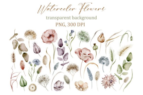 Delicate Watercolor Floral Elements, PNG Graphic Illustrations By baturae7112