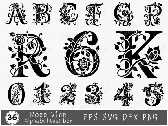 Rose Floral Alphabet and Numbers SVG Graphic Illustrations By Imagination Meaw