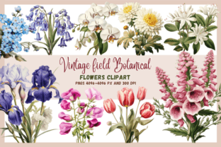 Vintage Field Botanical Flowers Clipart Graphic AI Graphics By Emena's Inspo 1
