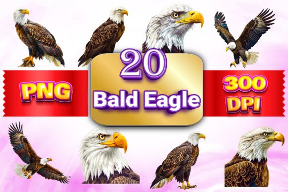 Bald Eagle Clipart Collection Grafika Ilustracje do Druku Przez royalerink
