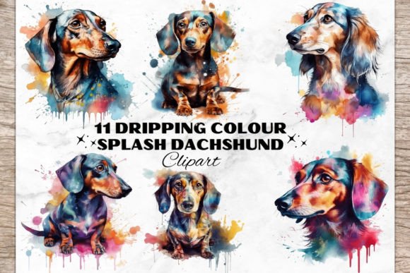 Watercolor Dachshund Dog Bundle Graphic Illustrations By Painting Pixel Studio