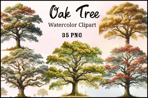 Watercolor Oak Tree Clipart Graphic Illustrations By Creative Home