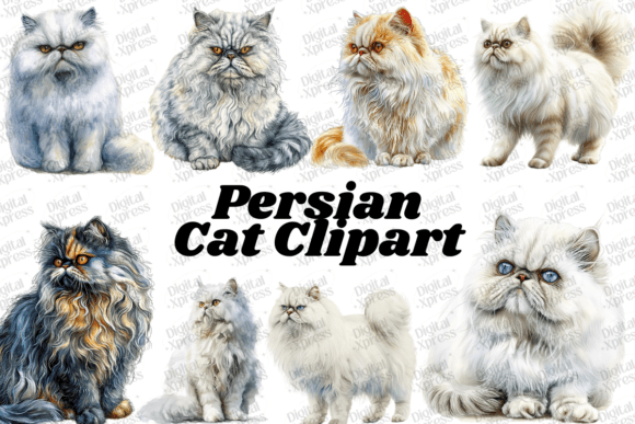 Persian Cat Clipart Grafik Druckbare Illustrationen Von Digital Xpress
