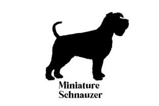 Miniature Schnauzer Dog Silhouette Breed Afbeelding Crafts Door Pony3000