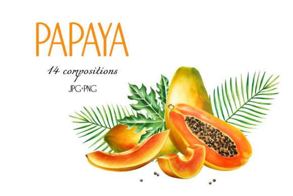 Papaya Compositions Afbeelding Afdrukbare Illustraties Door Navenzeles