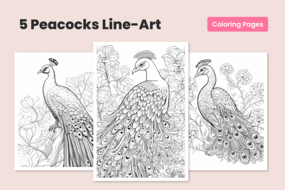 Peacock Bundle Coloring Pages for Adults Graphic Coloring Pages & Books Adults By AnaSt