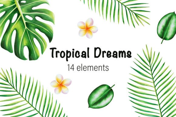 Tropical Dreams Isolates Graphic Illustrations By Navenzeles