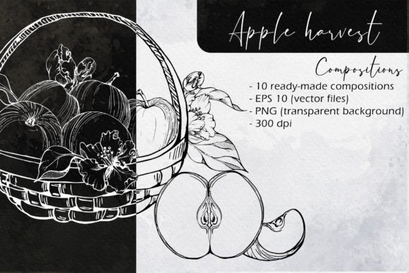 Apple Harvest: Compositions Grafik Druckbare Illustrationen Von msflaffy