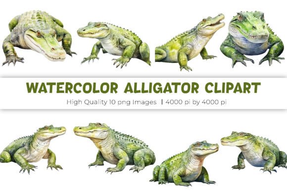 Watercolor Alligator Clipart Gráfico Ilustraciones Imprimibles Por mirazooze