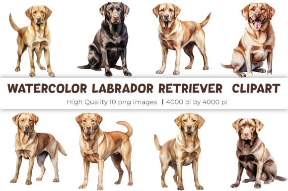 Watercolor Labrador Retriever Clipart Grafik Druckbare Illustrationen Von mirazooze