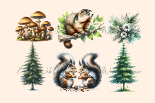 Woodland Forest Animals Clipart Graphic Illustrations By Emily Web Designer 7