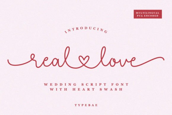 Real Love Script & Handwritten Font By Typebae