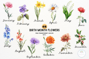 Birth Month Flower Botanical Clipart Graphic Illustrations By Rainbowtown 1