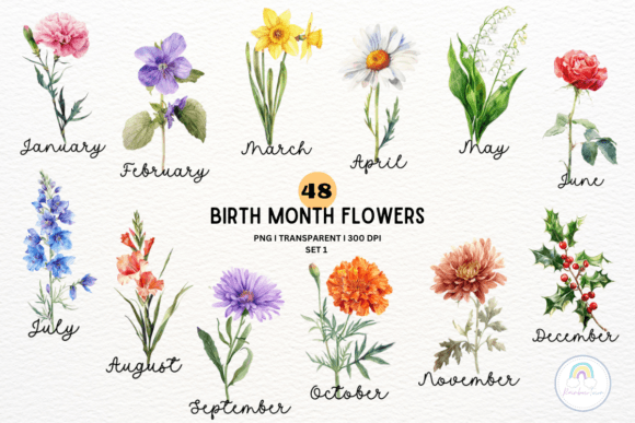 Birth Month Flower Botanical Clipart Gráfico Ilustrações para Impressão Por Rainbowtown