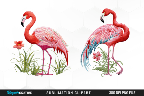 Embroidery Flamingo Sublimation Clipart Grafika Ilustracje do Druku Przez Regulrcrative