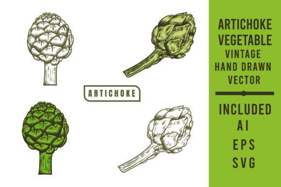 Artichoke Hand Engraving Vector Graphic Illustrations By Billah Hub