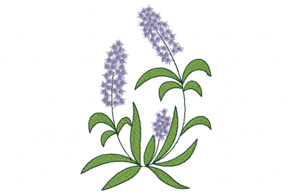 Lavender Single Flowers & Plants Embroidery Design By Reading Pillows Designs