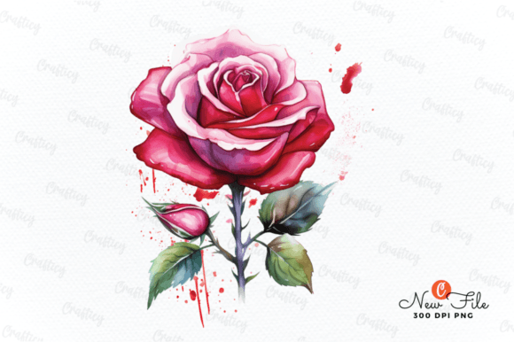 Rose Flower Watercolor Arts Bundle Gráfico Ilustraciones Imprimibles Por Crafticy