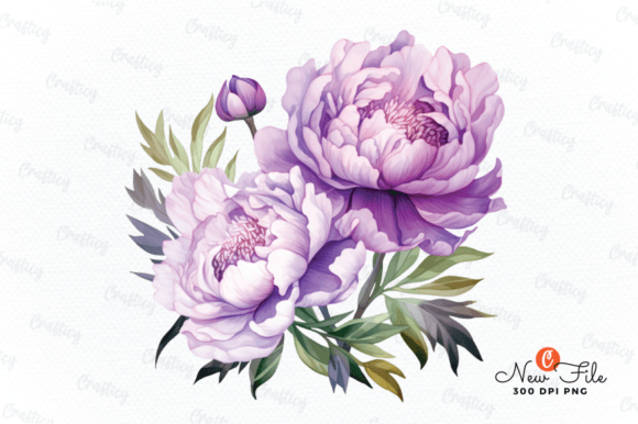 Purple and White Peony Clipart Graphic Illustrations By Crafticy