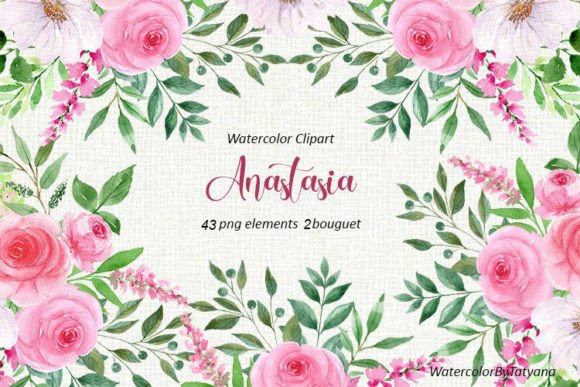 Watercolor Pink Roses and White Flowers Graphic Illustrations By StepanovaArt
