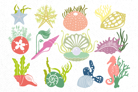 Coral with Seashell Bundle, Sea Shells Graphic Illustrations By camelsvg