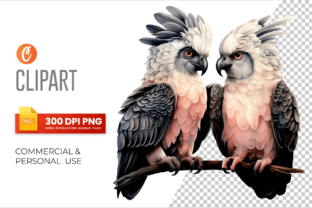 Couple Animal in Valentine's Day Clipart Graphic Illustrations By Crafticy