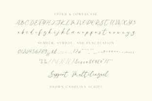 Brown Carolina Duo Script & Handwritten Font By jinanstd 10