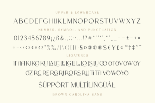 Brown Carolina Duo Script & Handwritten Font By jinanstd 12