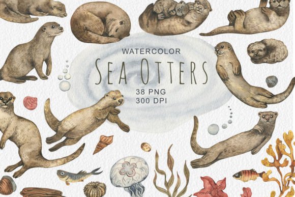 Watercolor Sea Otters Clipart Graphic Illustrations By JulaZnamCreative