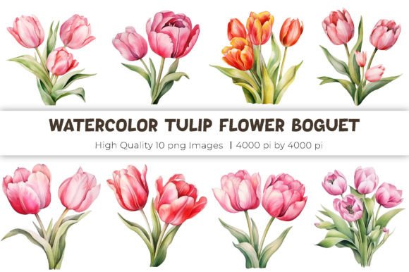 Watercolor Tulip Flower Boguet Clipart Illustration Illustrations Imprimables Par mirazooze