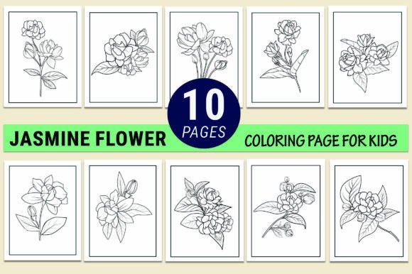 Hand Drawn Jasmine Flower Coloring Pages Graphic Coloring Pages & Books Adults By GraphicArt