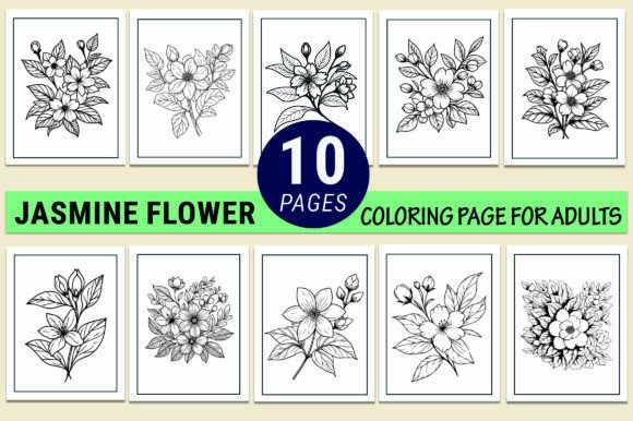 Jasmine Flower Drawing Vector Sketchs Graphic Coloring Pages & Books Adults By GraphicArt