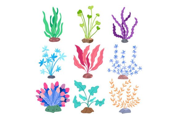 Aquarium Plant Set Cartoon Vector Illust Gráfico Ilustraciones Imprimibles Por pikepicture
