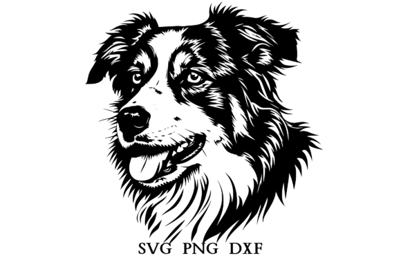 Australian Shepherd SVG Gráfico Ilustraciones Imprimibles Por DynjoDesigns