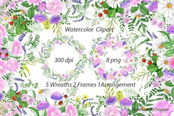 Watercolor Wildflowers Graphic Illustrations By StepanovaArt
