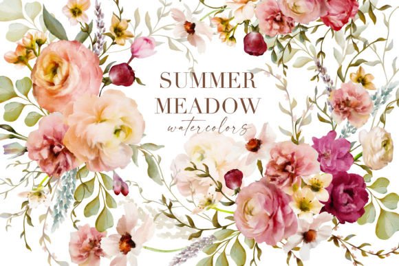 SUMMER MEADOW FLORAL WATERCOLORS Graphic Illustrations By avalonrosedesign